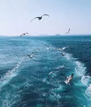 济州岛小清新旅游攻略,济州岛冬日街景