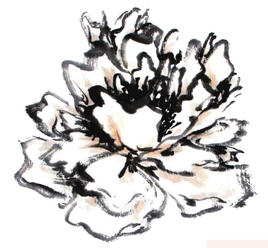 国画牡丹和石头的画法图片,初学国画牡丹花头画法图解