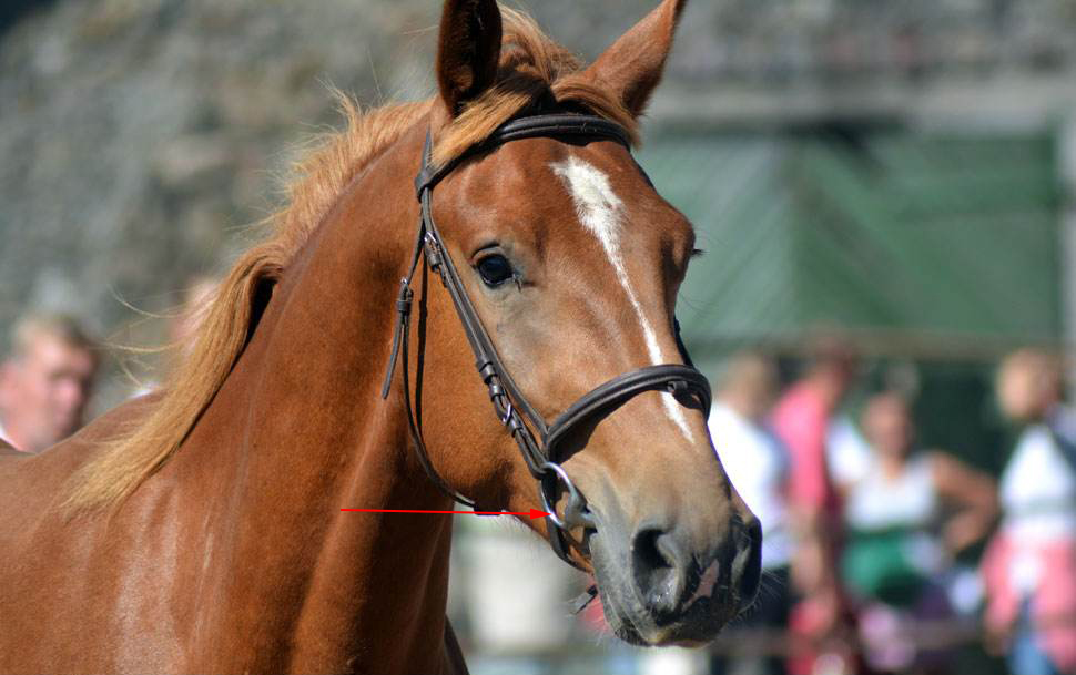 龇牙咧嘴的咧的读音,龇牙咧嘴的龇的读音