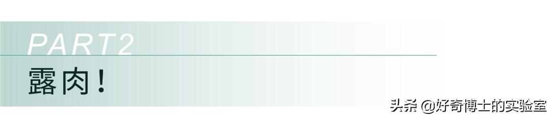 有哪些可以快速提升身材的小技巧,如何提升身材管理