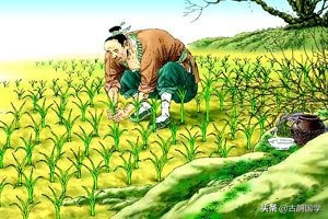 成语辨析题答案大全,成语辨析常见错误类型