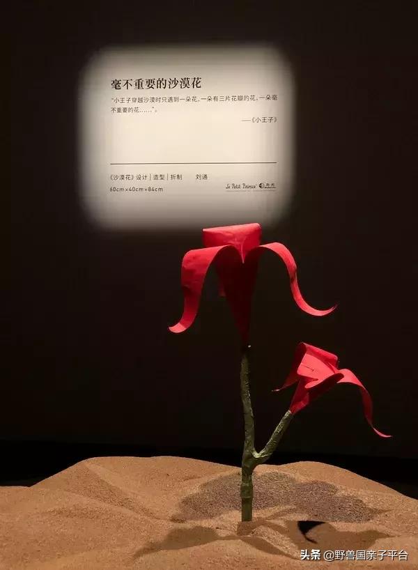 珠三角遛娃自驾游推荐,珠三角遛娃好去处