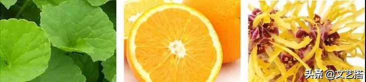 公认好用的5大保湿面霜,最近很火的面霜精华