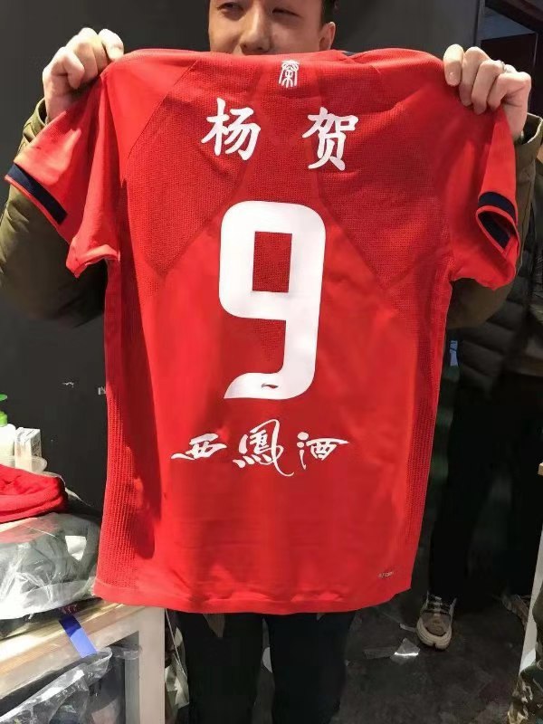 朱雀王子杨贺,杨贺亮相圣朱雀