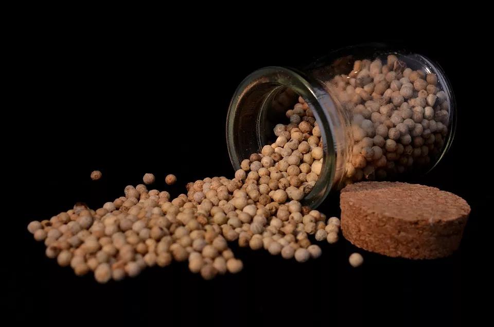 秋冬季节最佳除湿养生食品,冬季温补食物大全图文