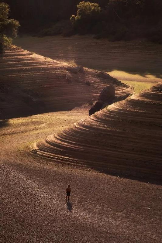 2021年索尼世界摄影大赛专业奖,2020年索尼世界摄影大赛