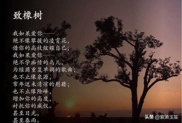 中年人的爱情感悟,中年人爱情感悟句子