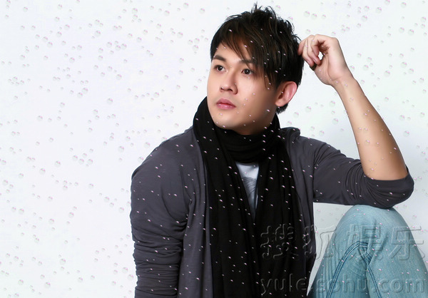 这部电视剧阵容强大质量却差强人意，一度陷入与周星驰版权之争