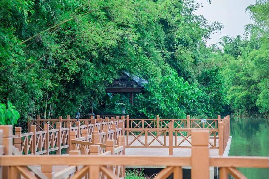 南昆山富力养生谷公寓两房,南昆山富力养生谷三房二厅民宿