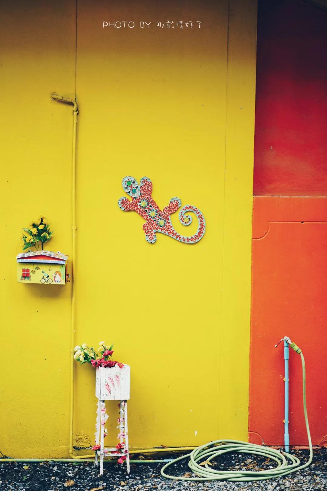 美国艺术家老夫妇定居苏梅岛十年，教游客画垃圾桶，唤醒环保意识