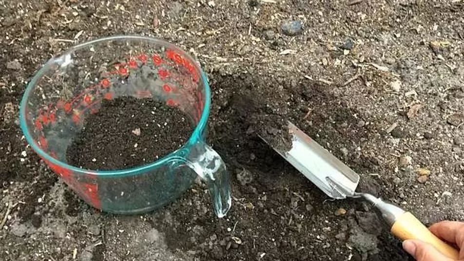 买测酸性碱性的试纸,ph试纸怎么测土壤酸碱度