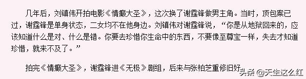 锋菲恋和锋芝恋真实情况,回顾张柏芝和谢霆锋的爱恨情仇