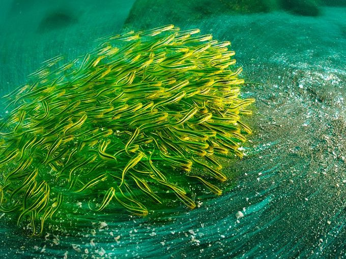 文学理论常识,文学理论吐血整理