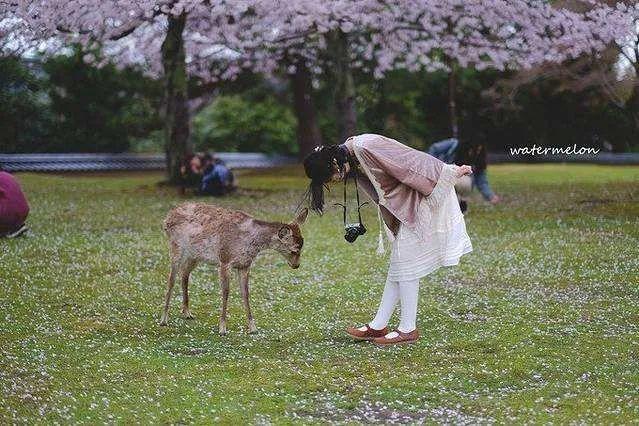 疫情还没结束却被辞退了,疫情还没结束需要辞职吗