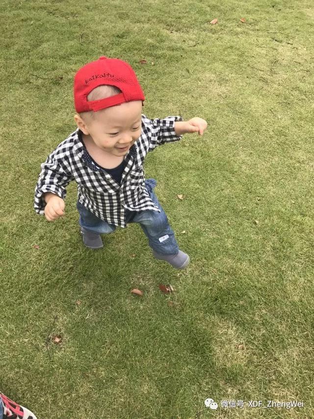 14个月宝宝英语指令,16个月宝宝学说英语