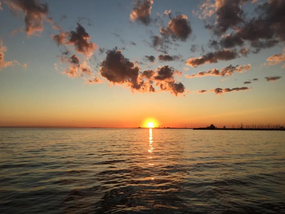 被亲妈嫌弃,被亲妈嫌弃了