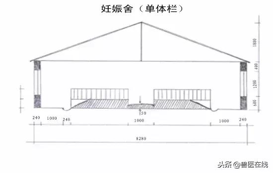 20头母猪猪舍设计图,20头母猪栏设计图