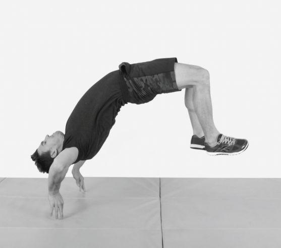 教你鲤鱼打挺,10秒教你鲤鱼打挺