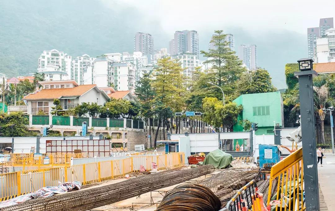 附近莲塘,附近的莲塘