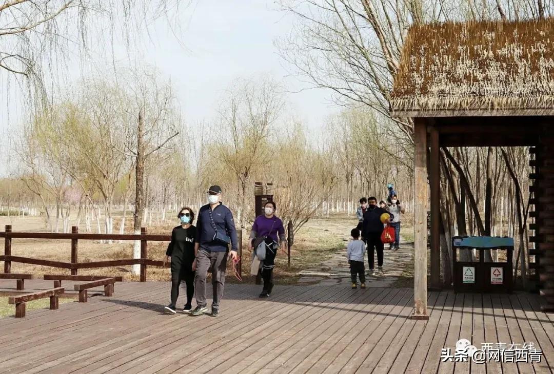 天津新开放的公园,天津水西公园现在恢复开放了吗