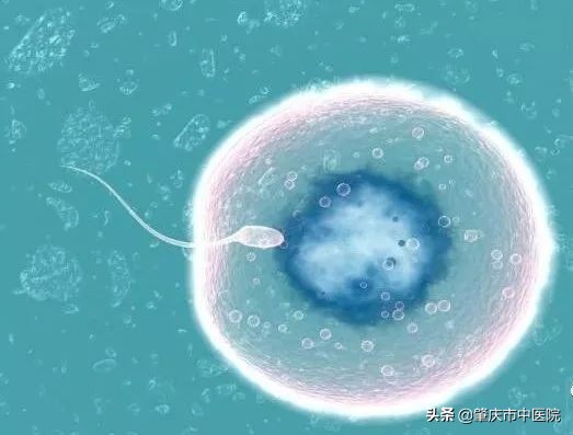 备孕妈妈看过来！想“一击即中”？超声排卵监测的方法了解一下