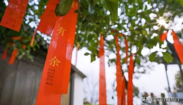 苏州太湖西山岛江浙沪最强攻略,太湖西山岛旅游完整攻略