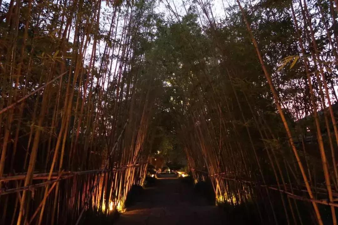 人均200新荣记,浙江新荣记人均消费