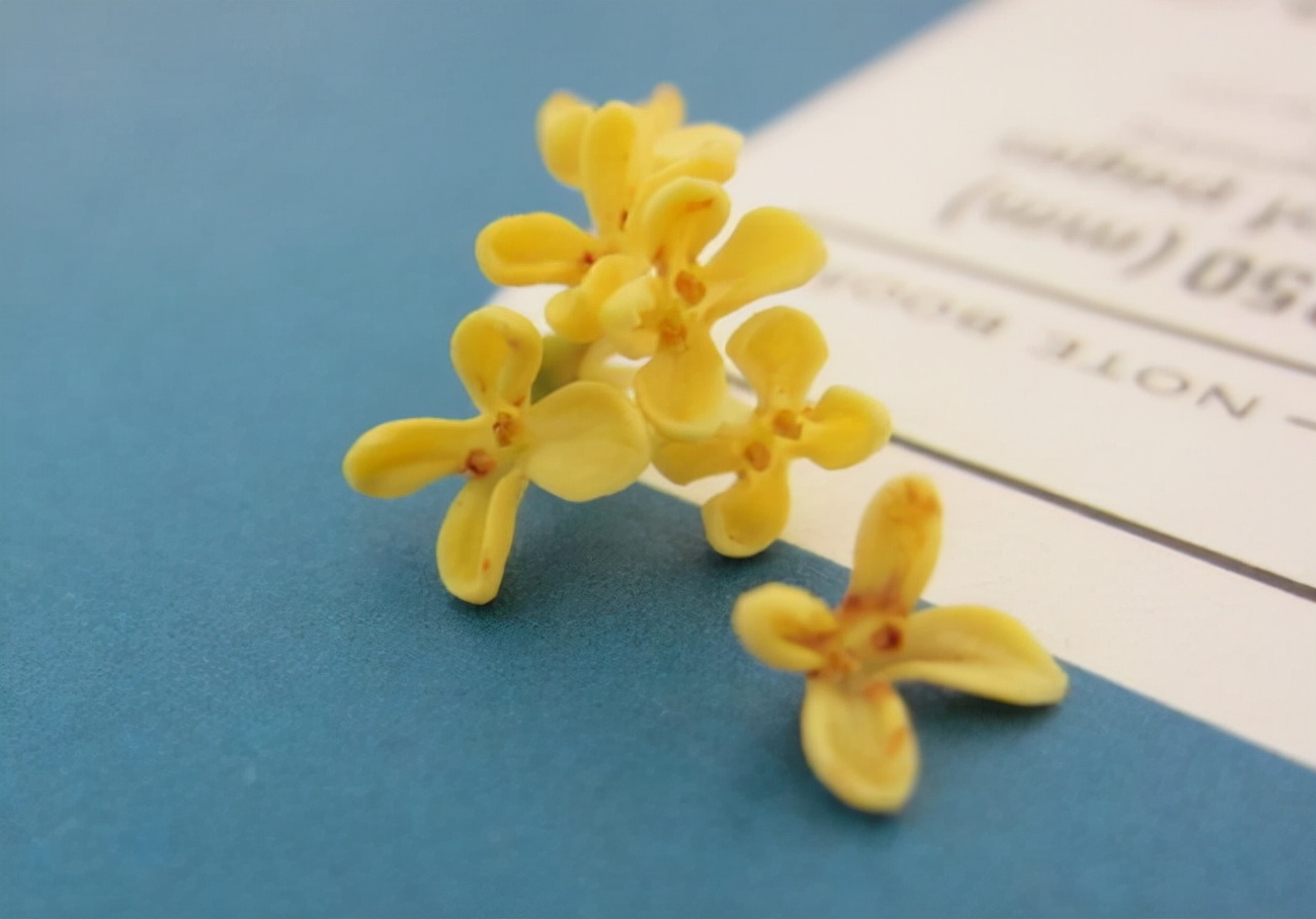 独占三秋压群芳,独占三秋压众芳何咏橘绿与橙黄