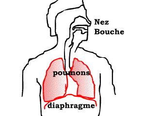 呼吸过度可以通过憋气缓解吗,气短每天做10分钟深呼吸有好处吗