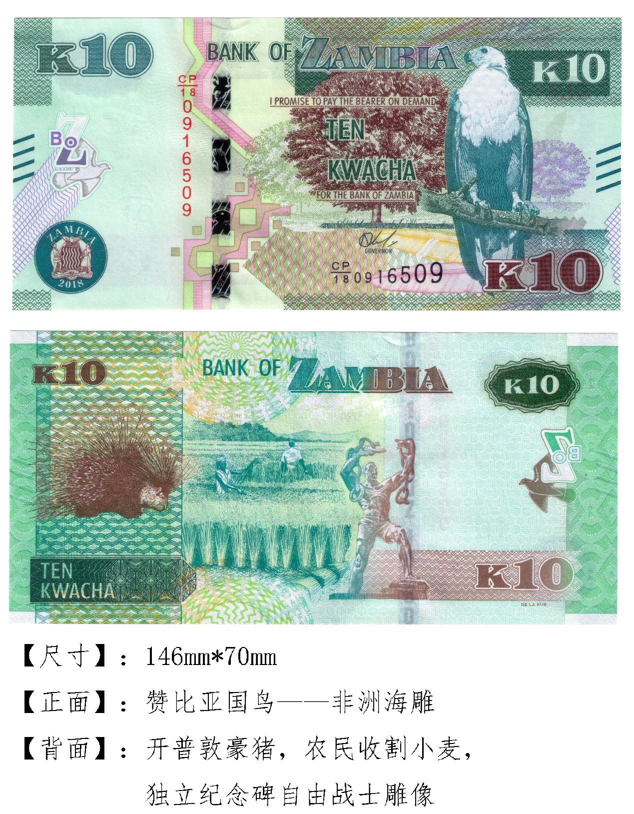 有趣的钱币之非洲篇——赞比亚克瓦查