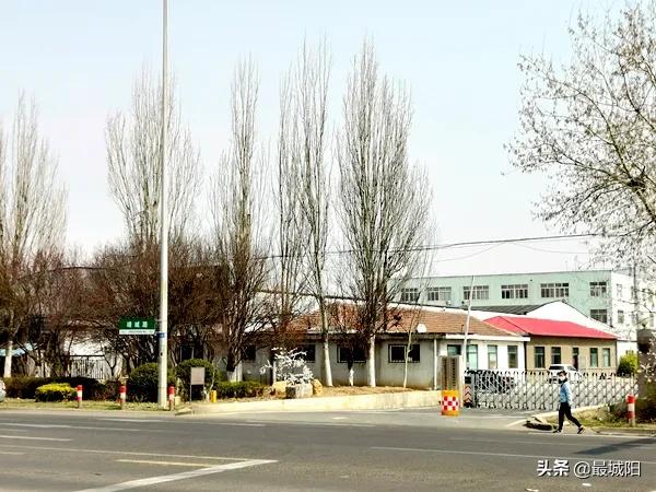 青岛2023年亚洲杯足球场,青岛亚洲杯足球场项目招标