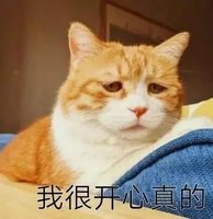 餐饮创业的四个重大忌讳,一位干了20年餐饮前辈的忠告