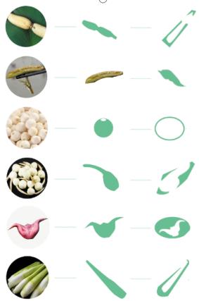 苏州水八仙logo图片,苏州水八仙标志图