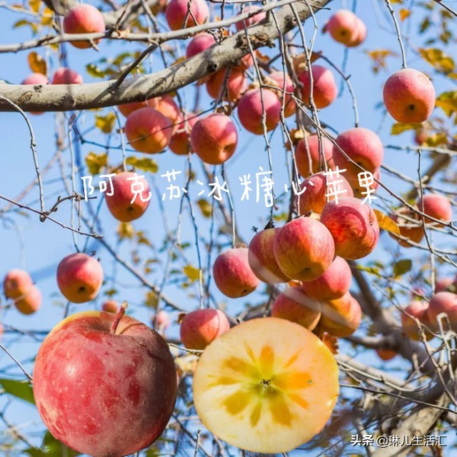每天认识一种美食,每天认识一种食品