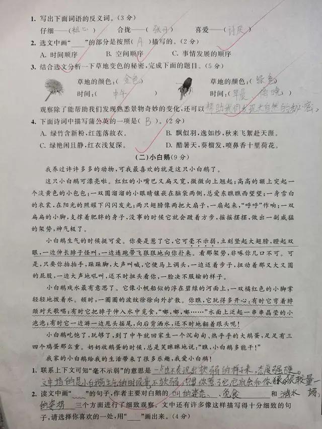 三年级语文期末必考的作文范文,三年级五单元试卷作文