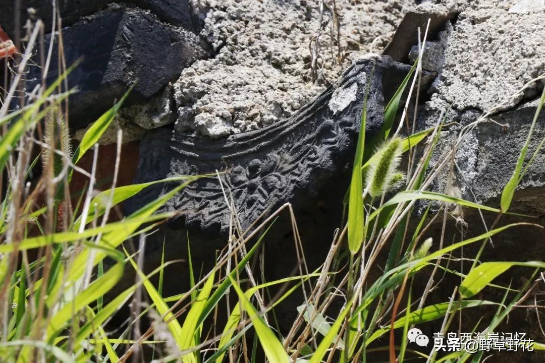 青岛西海岸新区灵山岛简介,青岛西海岸新区历史文化名城