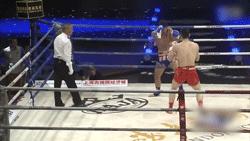 苍山少侠付高峰ko集锦,苍山少侠付高峰秒杀日本选手