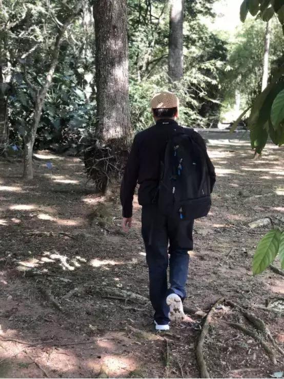 南回归线附近的里约热内卢也有热带雨林?差点以为上了门假地理课