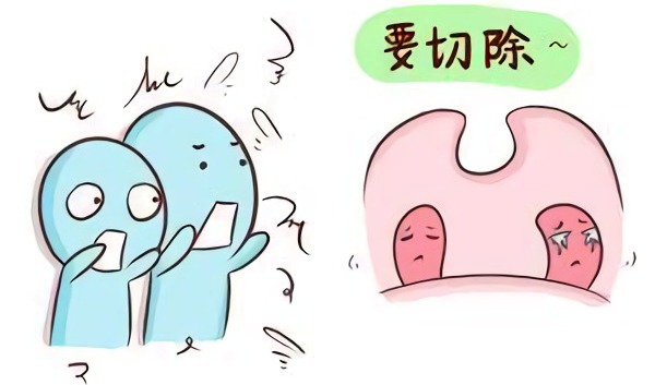 紫癜的疾病知识,紫癜诊疗指南