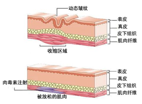 40岁妈妈显年轻,42岁妈妈颜值高显年轻