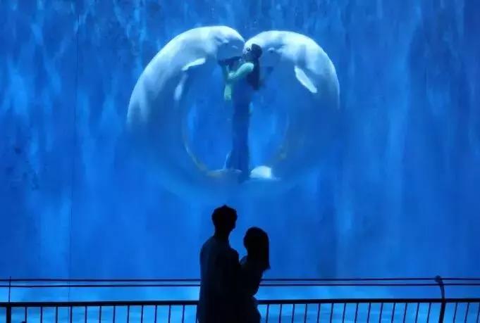 哈尔滨最近更新的影像图,哈尔滨最新照片