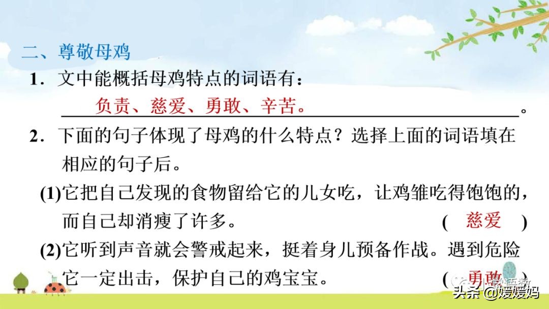 四年级下册第13课小练笔仿写母鸡,四年级下册14课母鸡的预习完整版