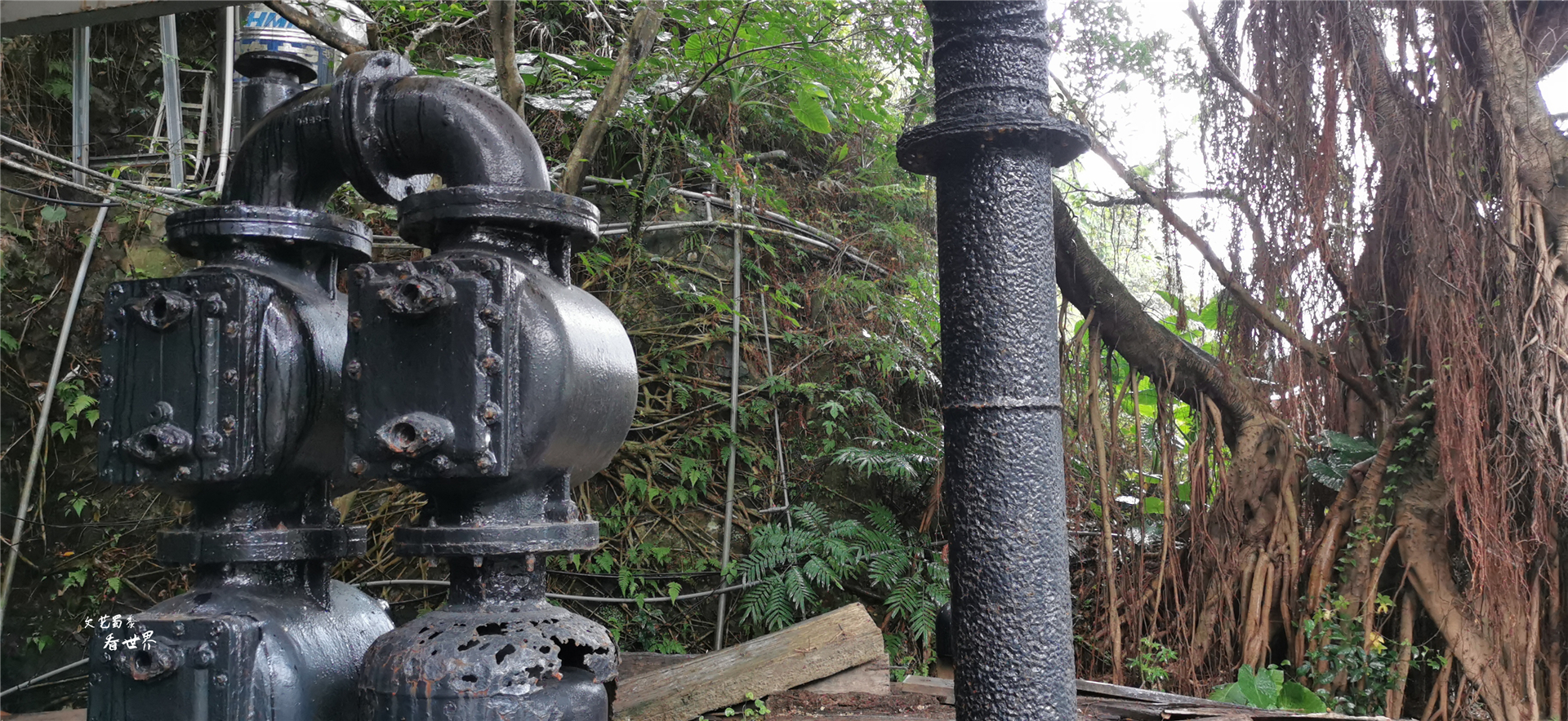 最大的金砖有多大,最大的金砖多少钱