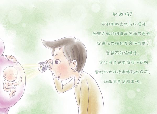 孕七月宝宝发育,孕7个月的宝宝的样子