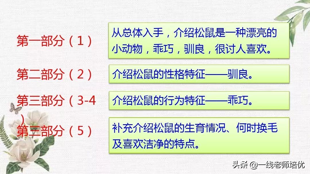 语文五年级上册第17课松鼠资料,部编版五年级上册第17课松鼠课件