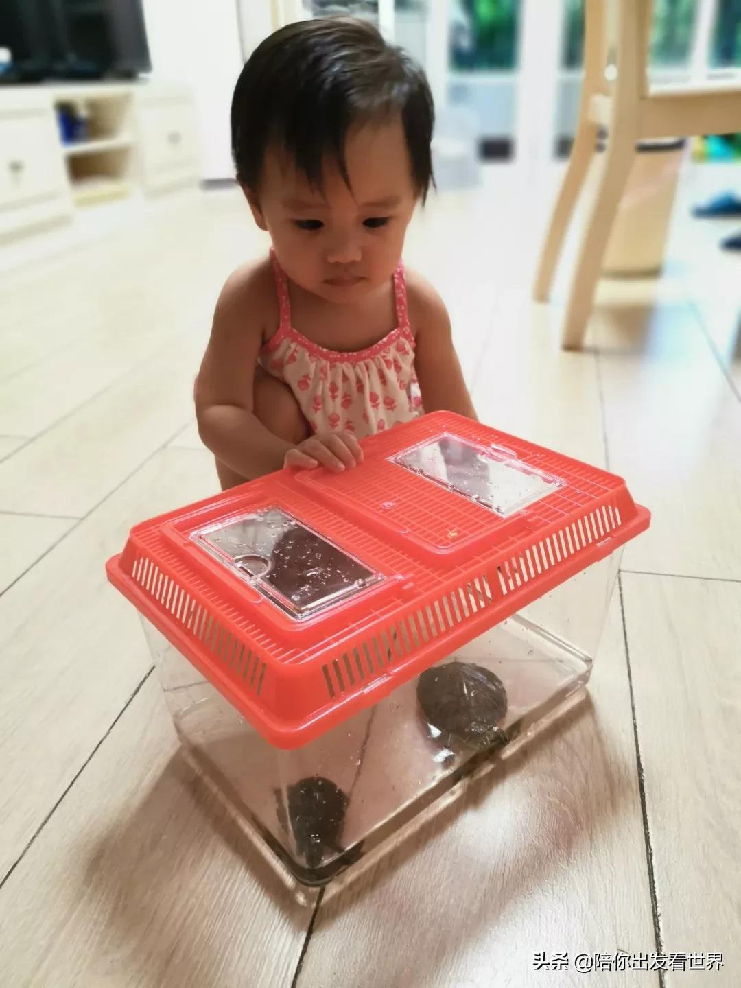 帮助家庭轻松育儿的居家好物,这十件好物实用有趣