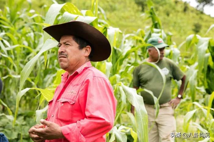 *品毒**战争背后的商业秘密:价格博弈、人力资源、特许经营