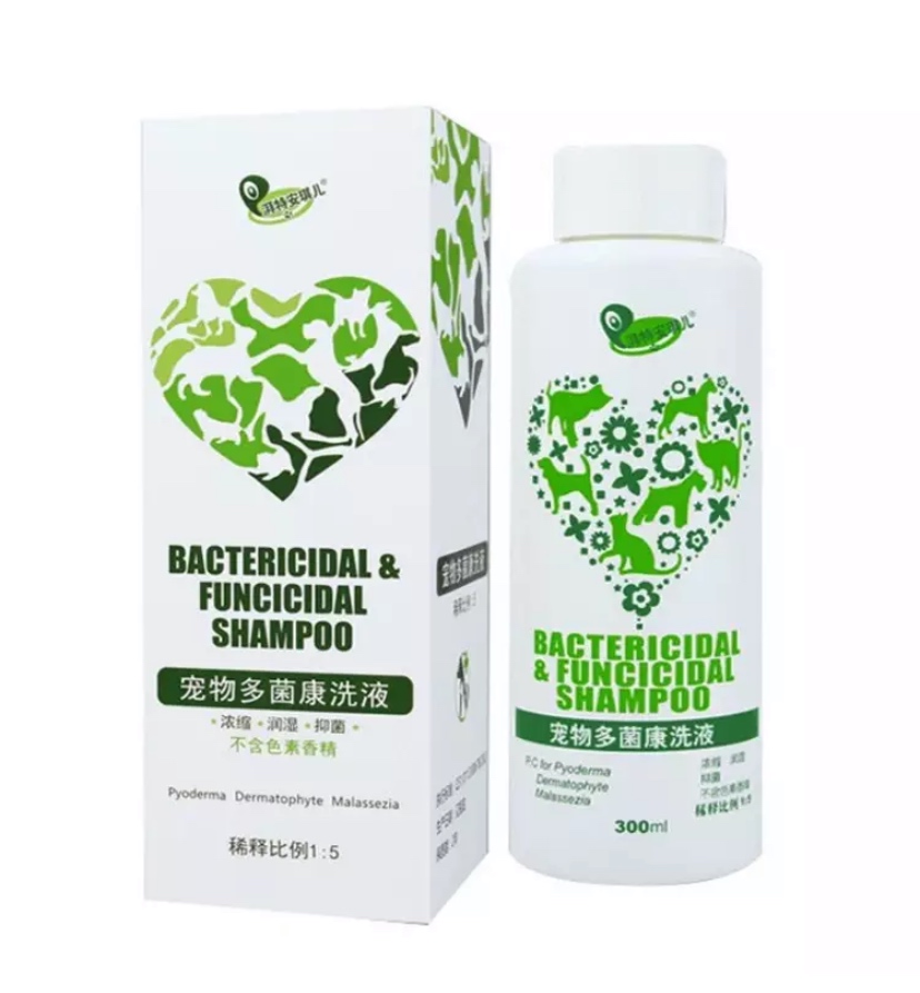 详解治疗猫癣的六大步骤,猫咪得了猫癣怎么治疗好得快