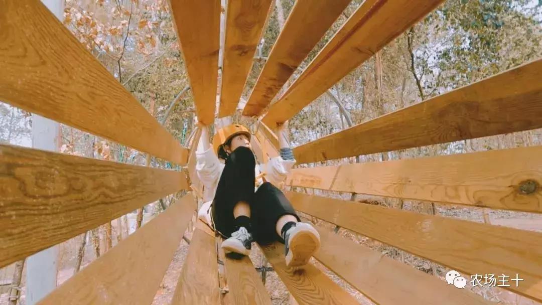 大龄休闲农庄有哪些,做休闲农庄必须考虑的几个问题