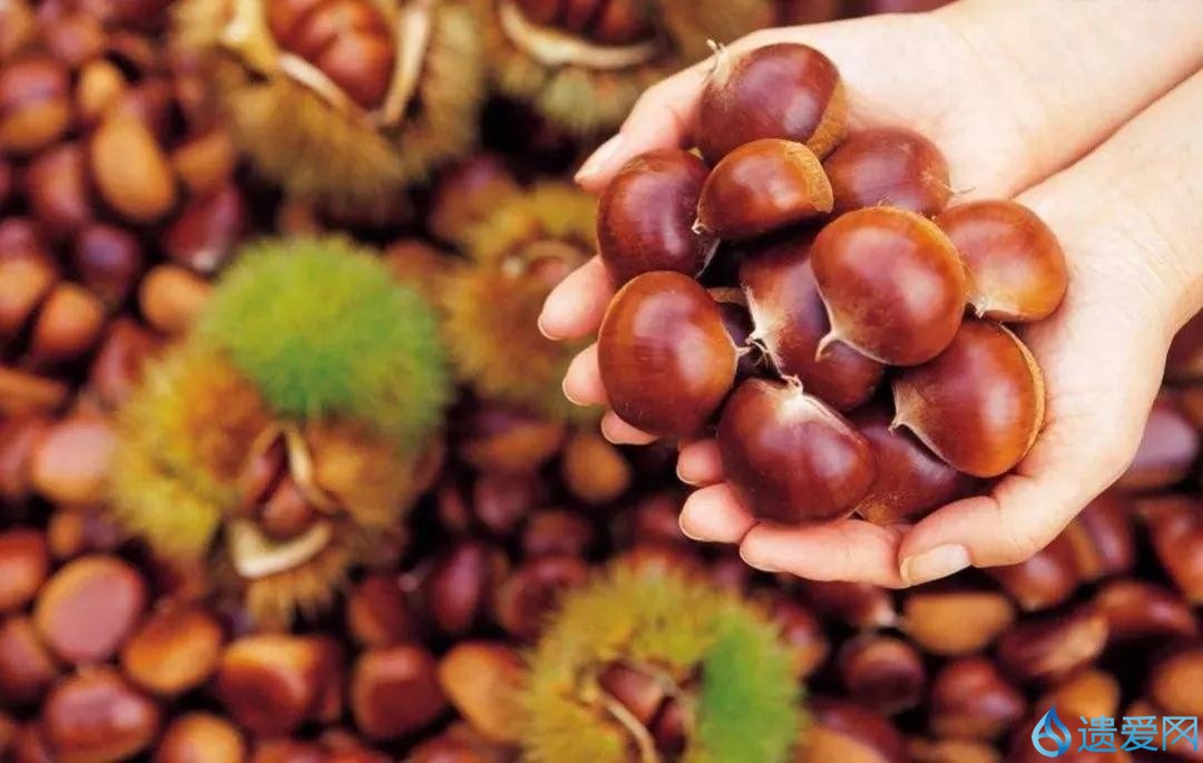 点赞！昨天的这两场盛会，黄冈表现亮眼